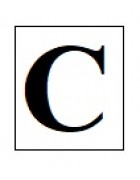 Бусины с буквами белые кубики C